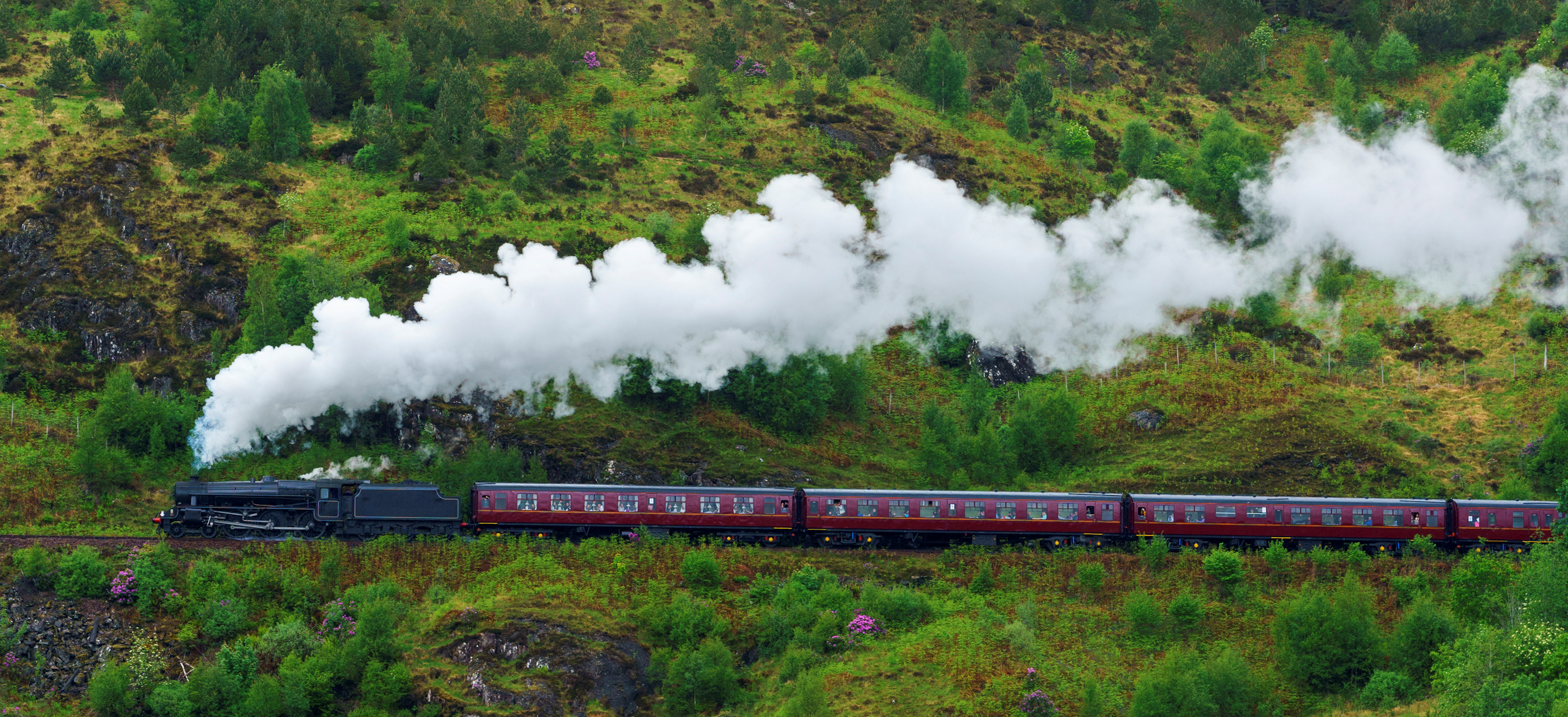 Steam train passing through a lush valley