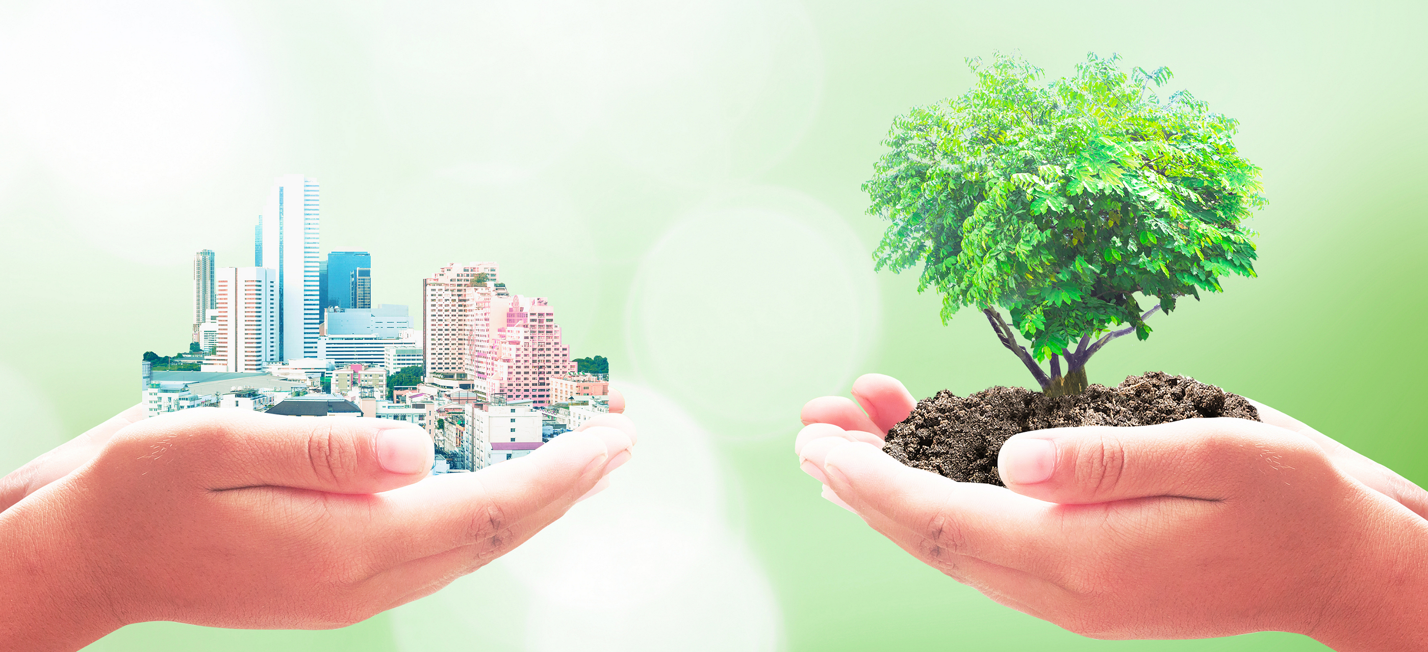 Two pairs of hands holding up a city and a tree to depict ecological balance