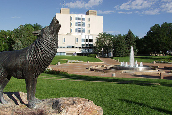 Statue of a howling wolf in a garden with a fountain with the CSU building in the background
