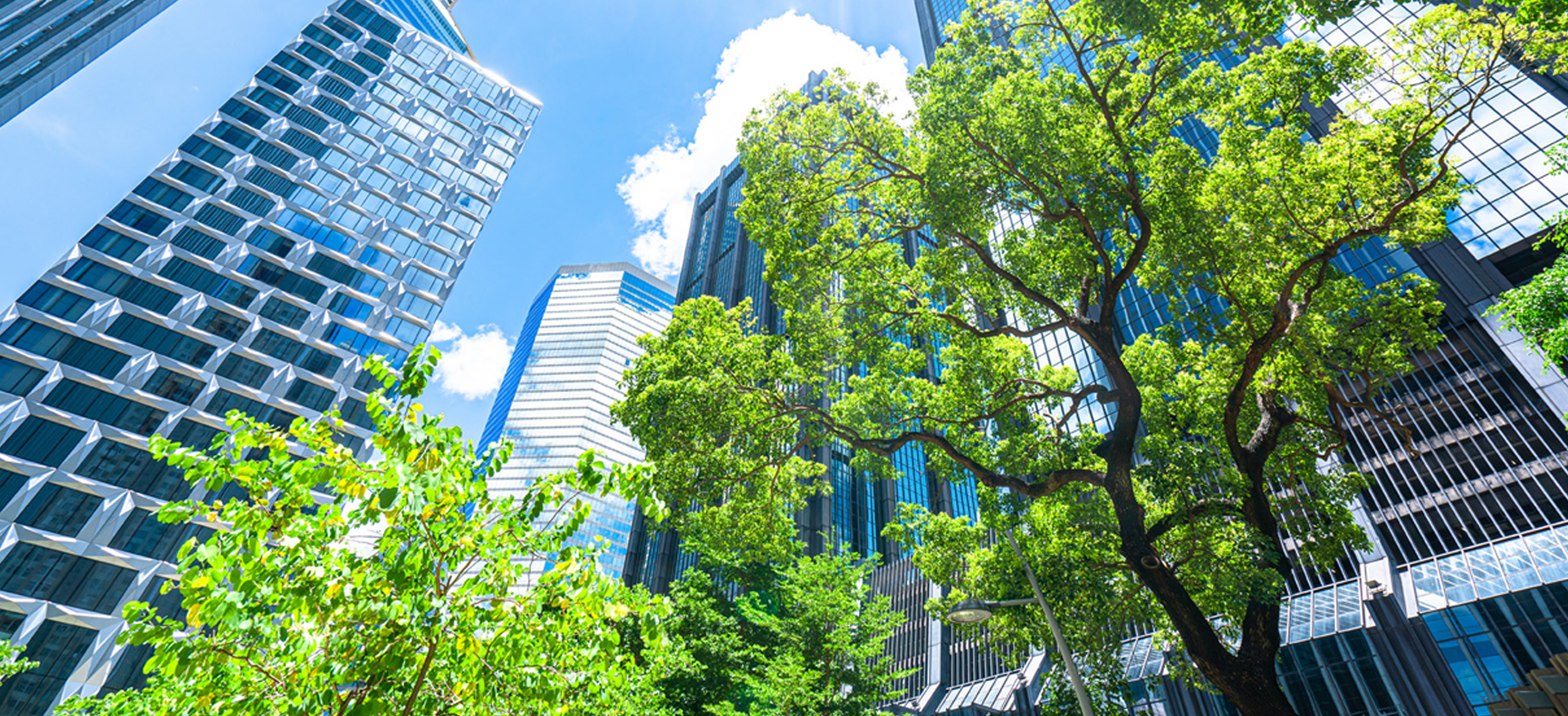 Low angle shot of a city with skyscrapers and trees on a sunny day