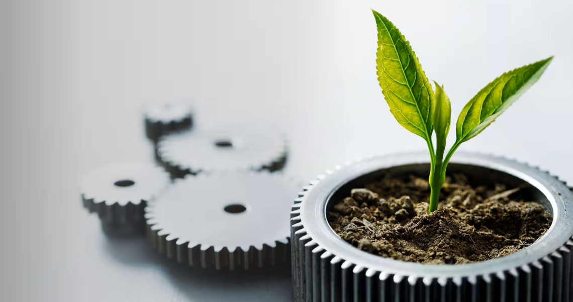 A plant growing in a gear shaped pot around other gears