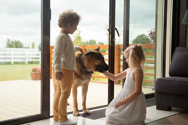 boy and girl petting dog