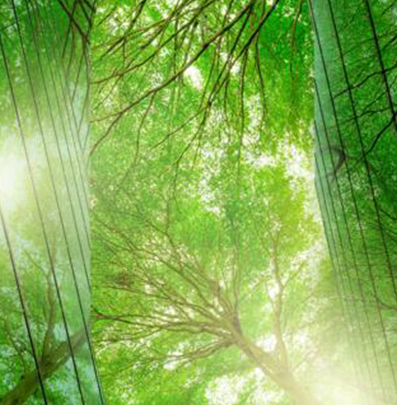 Close up of a commercial building with glass panels surrounded by greenery