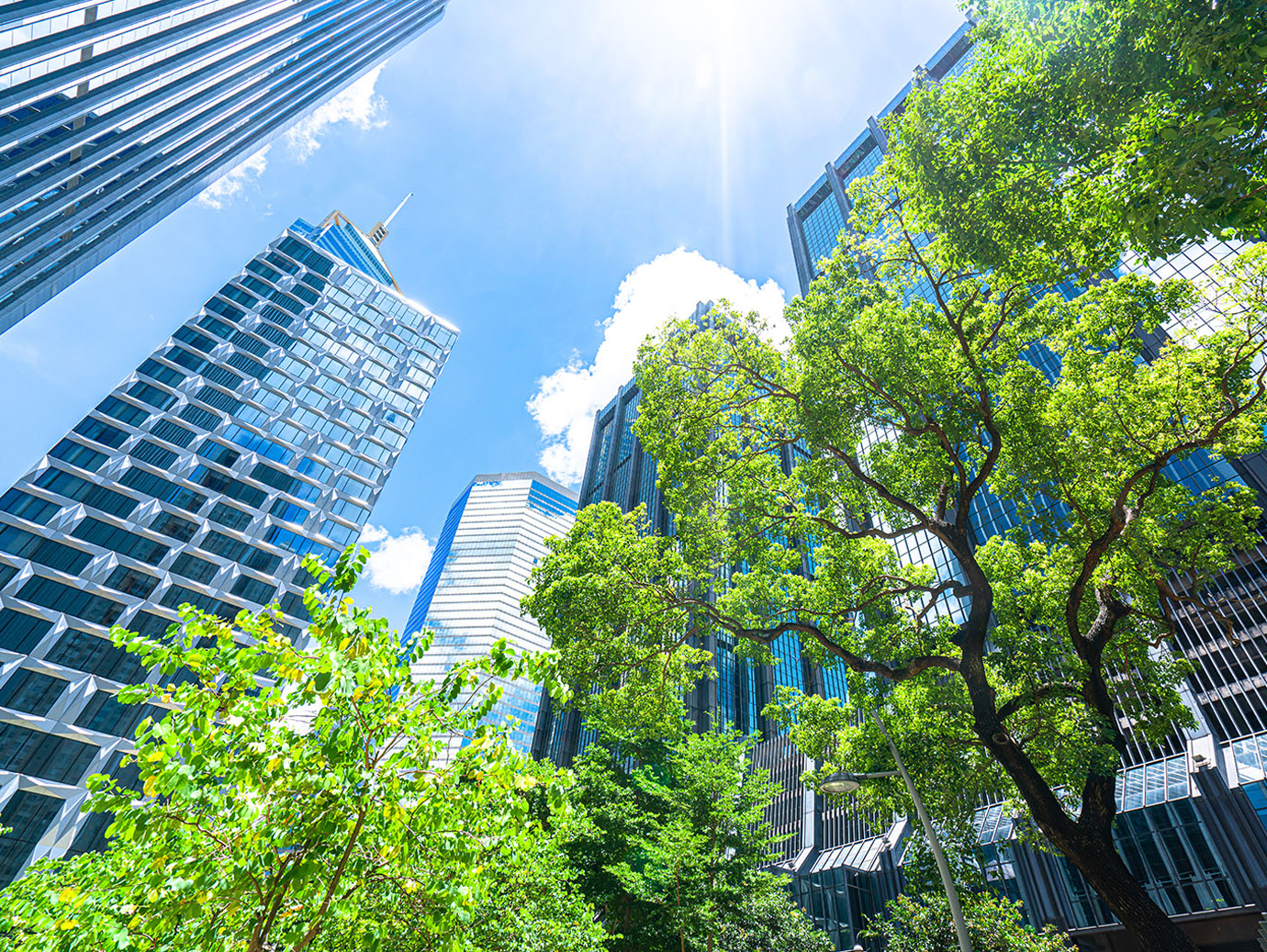 High-rise commercial buildings surrounded by greenery