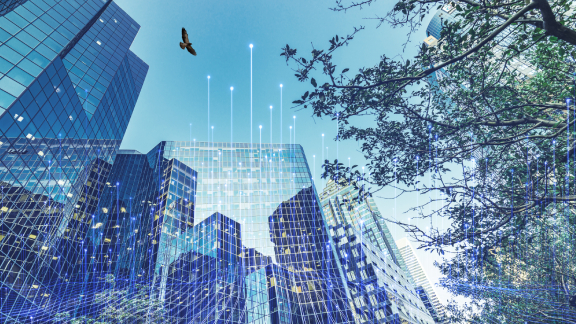 Frog's-eye view of corporate buildings and trees, with an eagle flying overhead